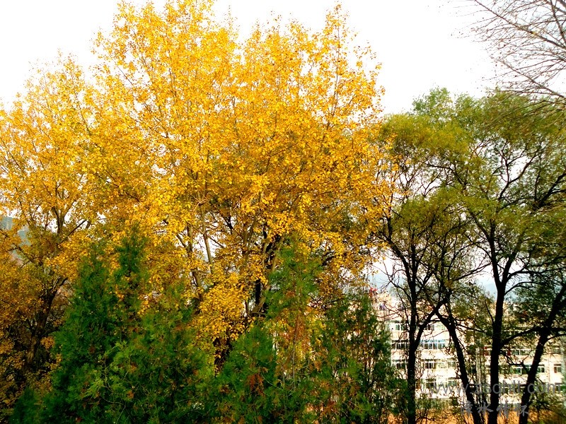 DSC02066_.jpg