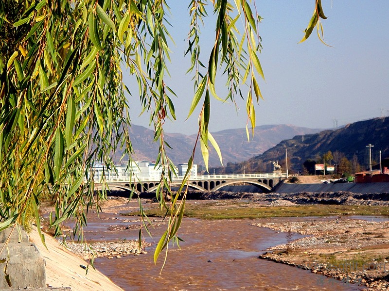 DSC02112_.jpg