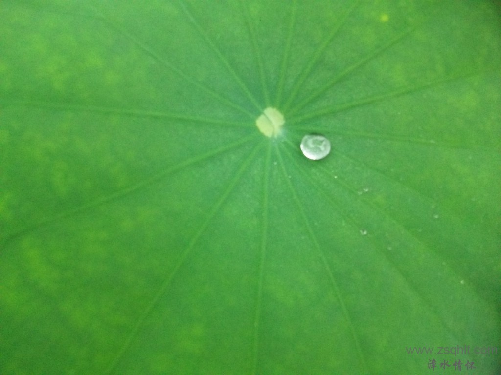 Ƭ 006.jpg