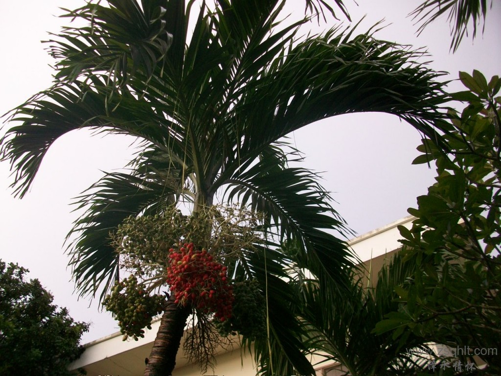 Ƭ 013.jpg