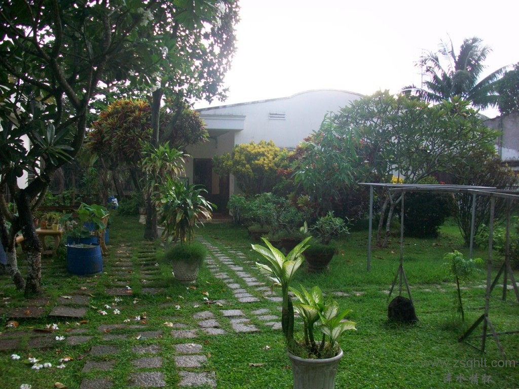 Ƭ 017.jpg