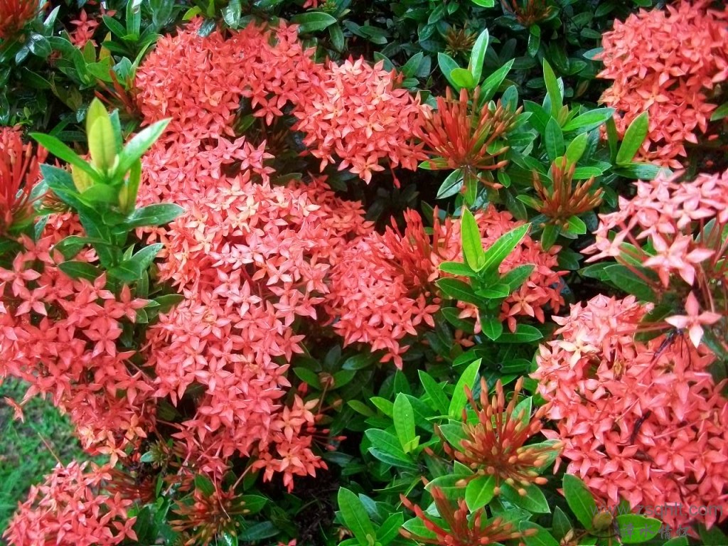 Ƭ 022.jpg