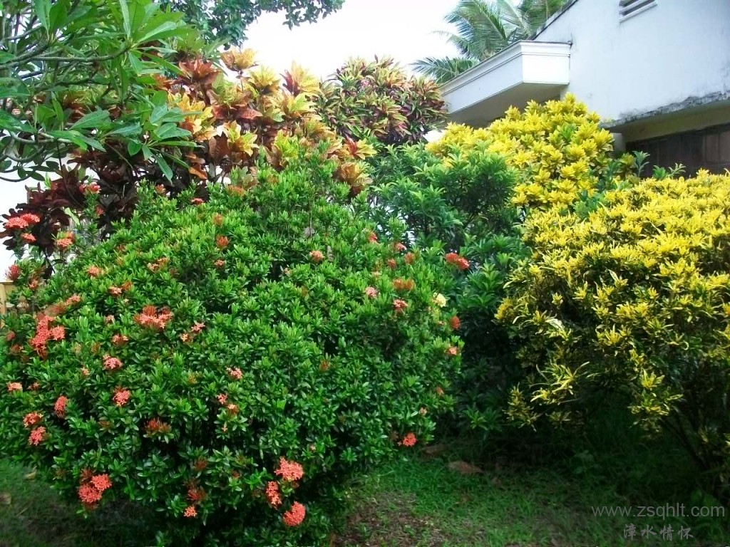 Ƭ 025.jpg