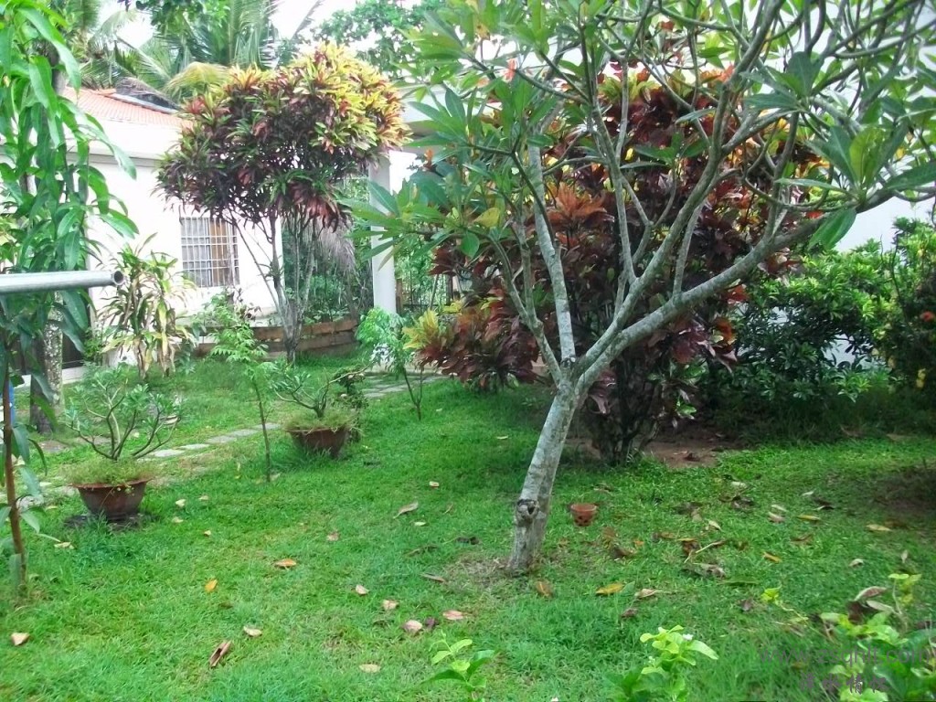 Ƭ 026.jpg