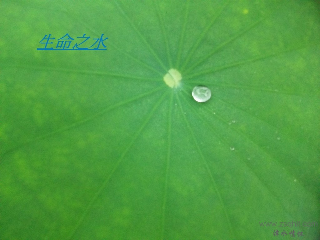 }u -Ƭ 006.jpg