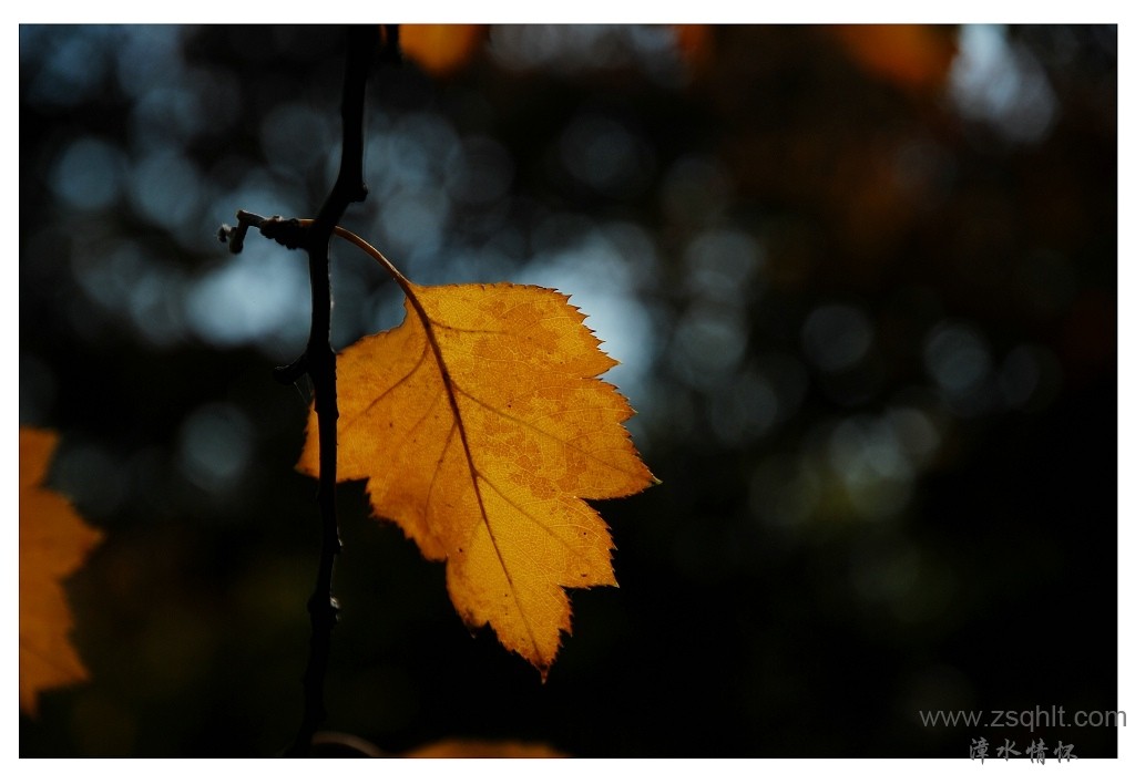 DSC_5469.jpg