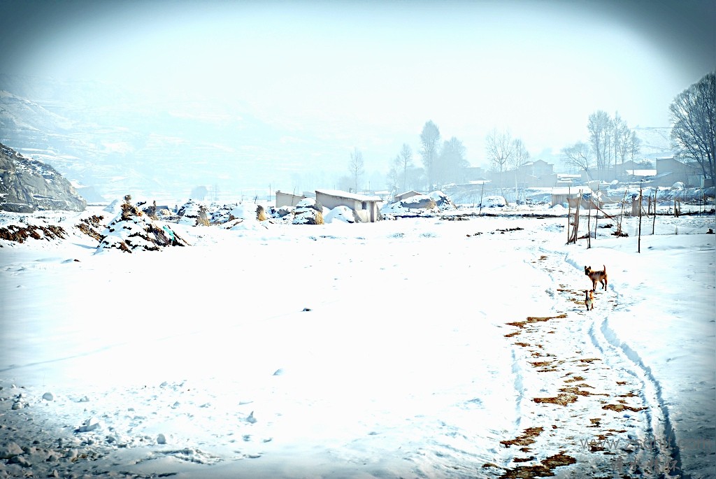 DSC_16163.jpg