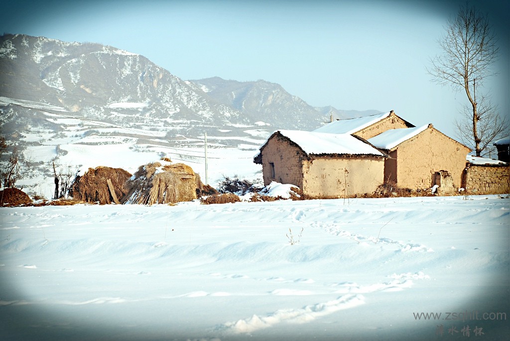 DSC_21171.jpg