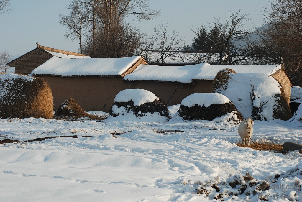 DSC_21332.jpg