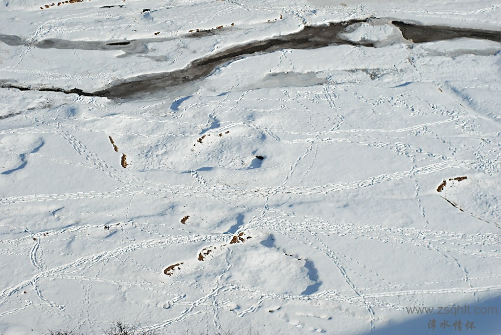 DSC_18670.jpg