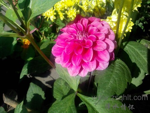 IMG20121228120514.jpg