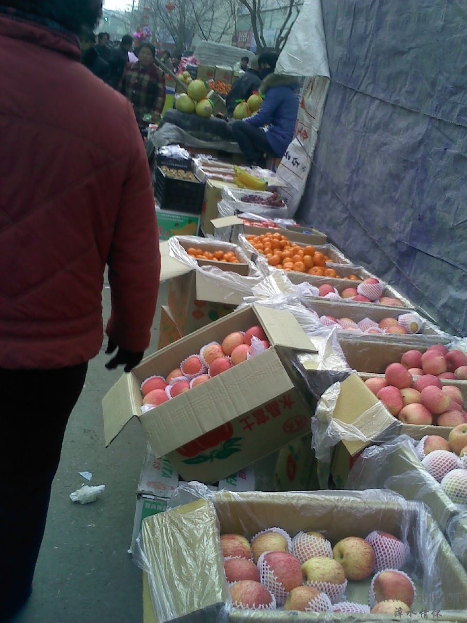 130131012.jpg