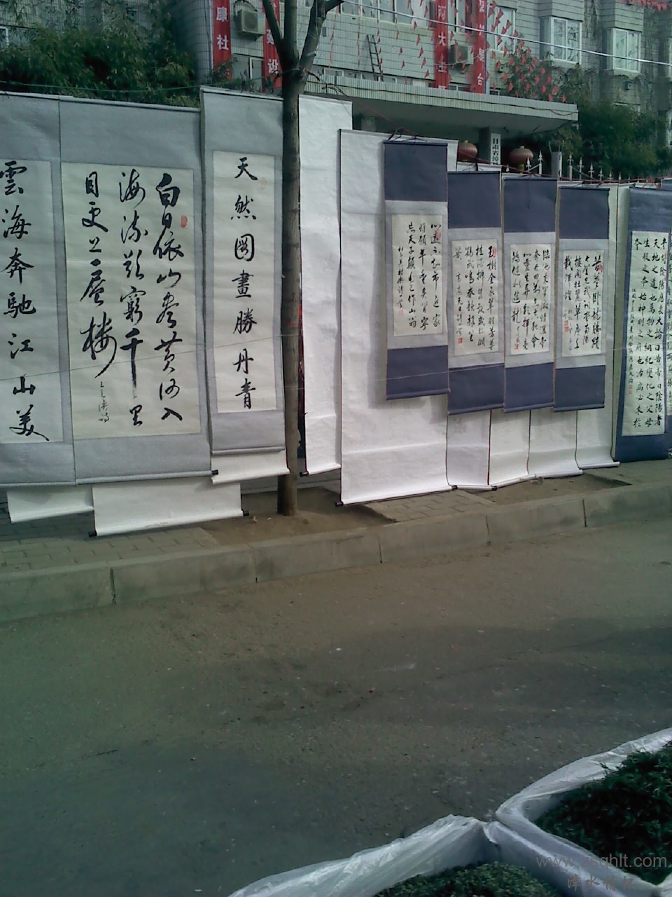 130131016.jpg