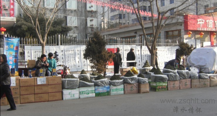 [WO_LDJ`QZM05V65E~183CG.jpg