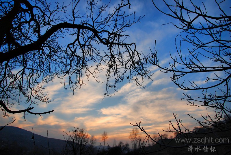DSC_0282_.jpg