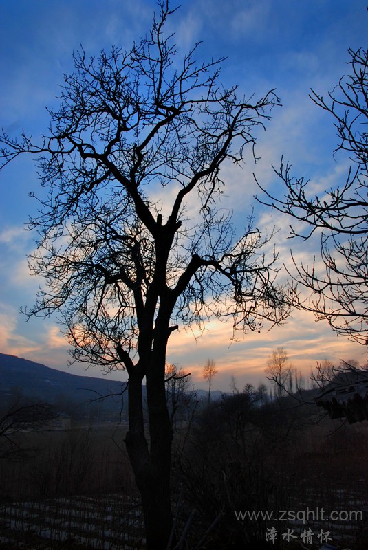 DSC_0284_.jpg
