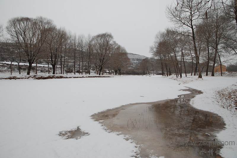 DSC_0377_.jpg
