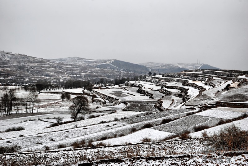 DSC_0406_.jpg