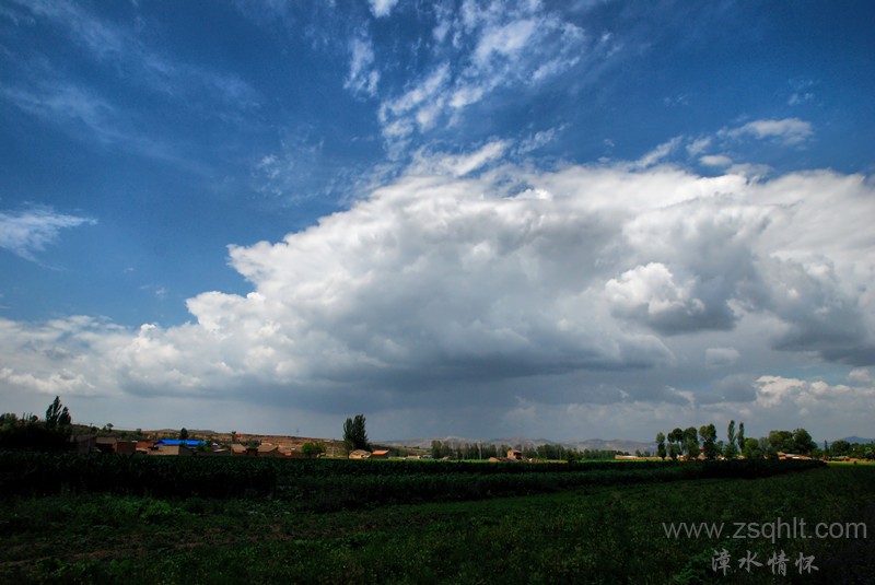 DSC_5192_.jpg