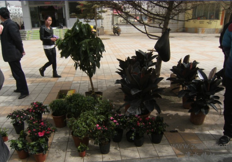 OKLH9}P69%(IW_5}76UN1Y3.jpg