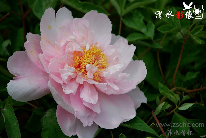 DSC_8221_.jpg