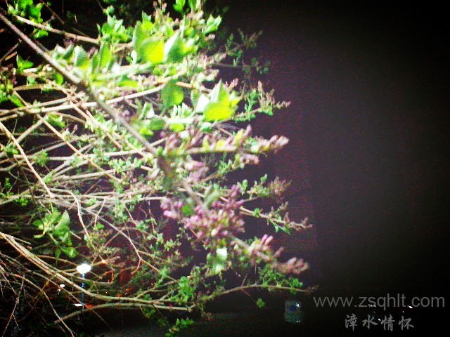 IMG_20130324_015842_mh000.jpg