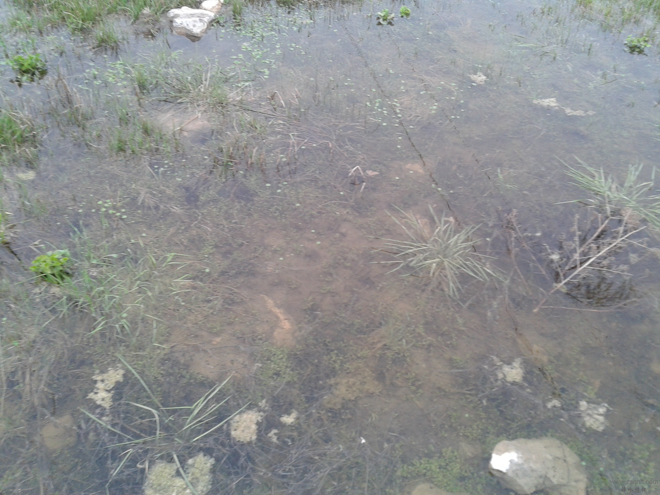2013-05-13 16.13.36.jpg