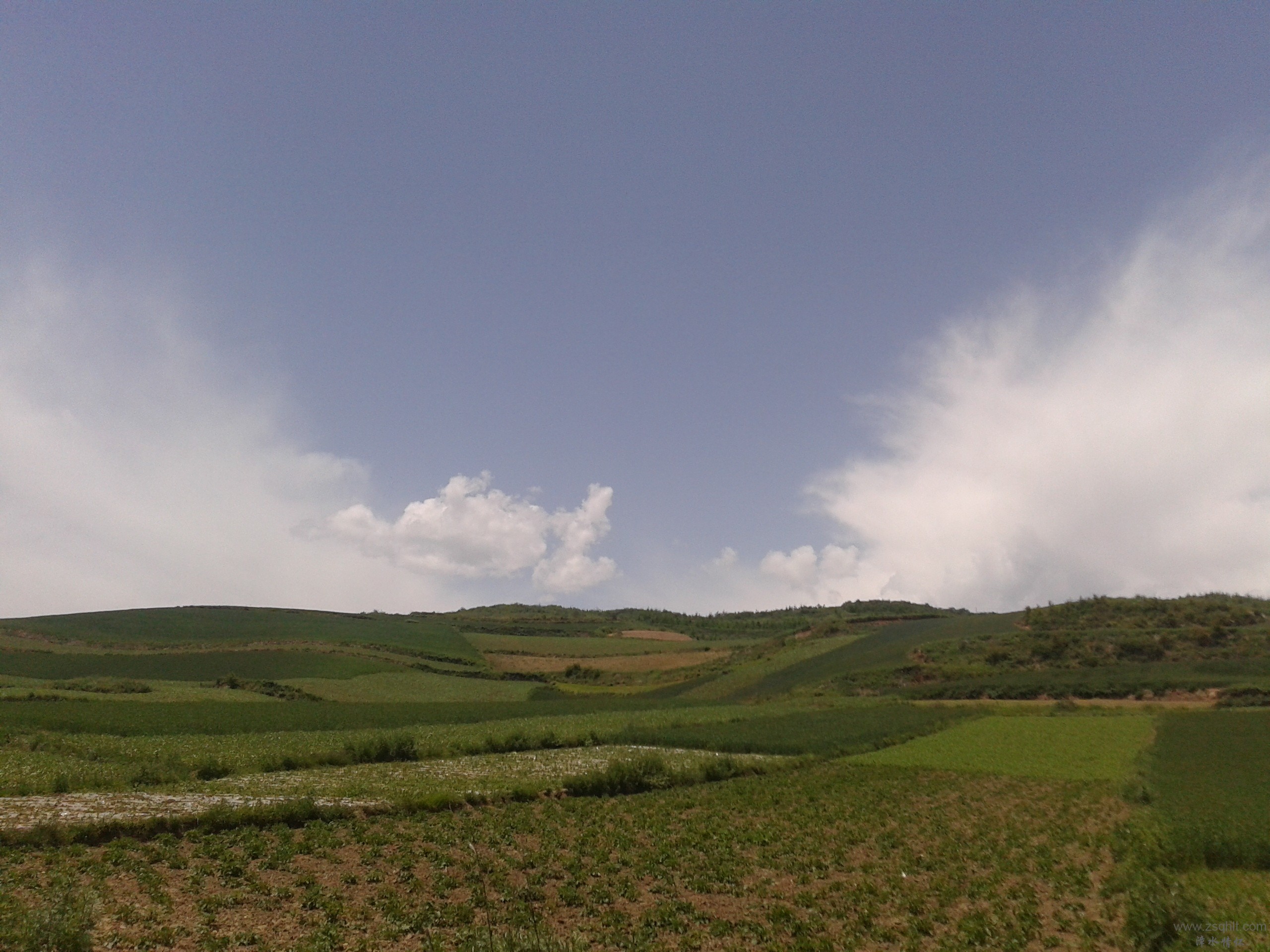 2013-06-02 13.36.46.jpg