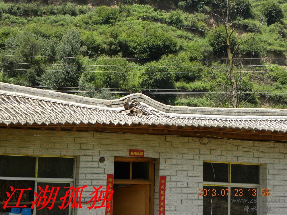 DSCN3486.jpg