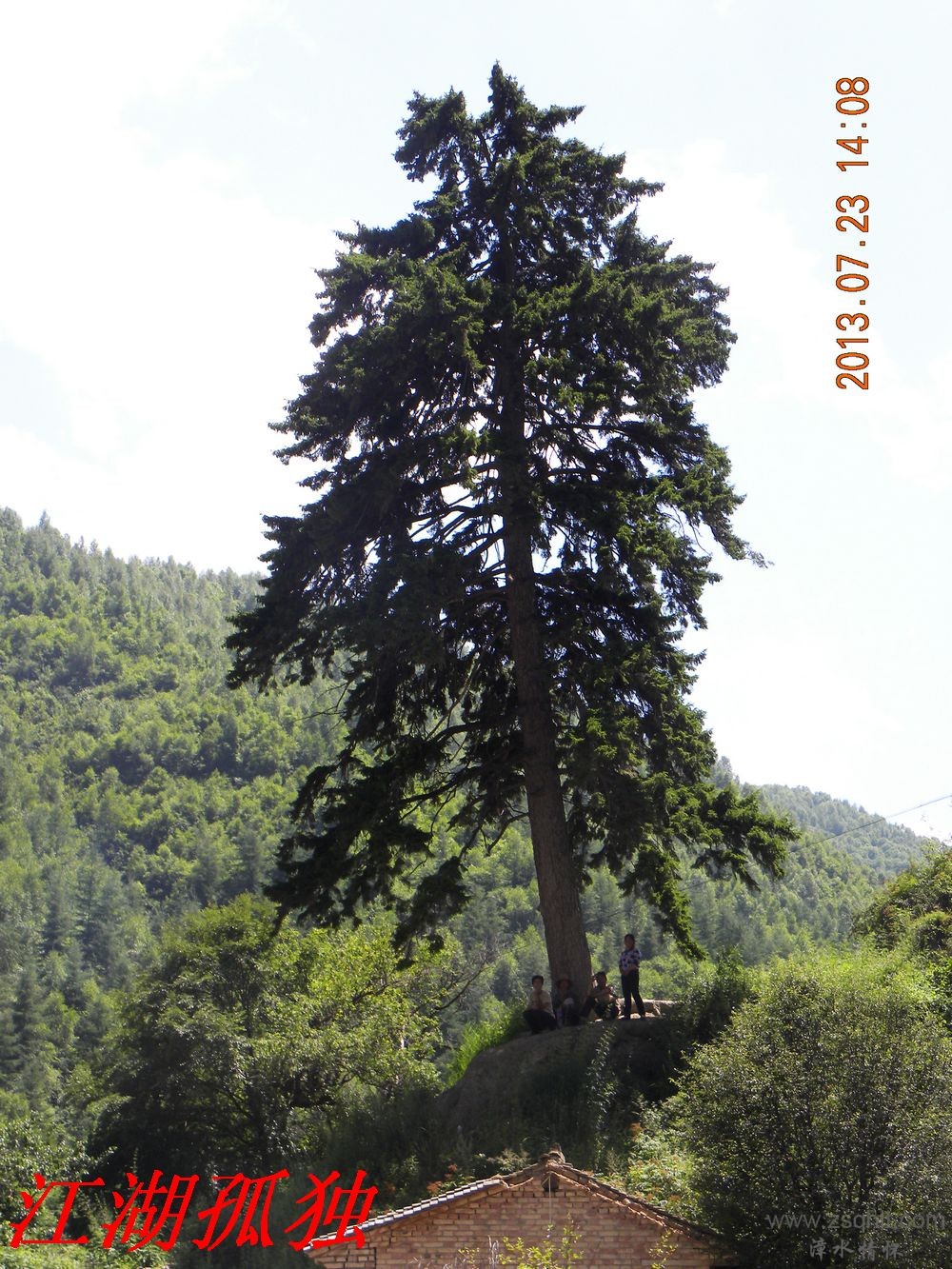 DSCN3491.jpg