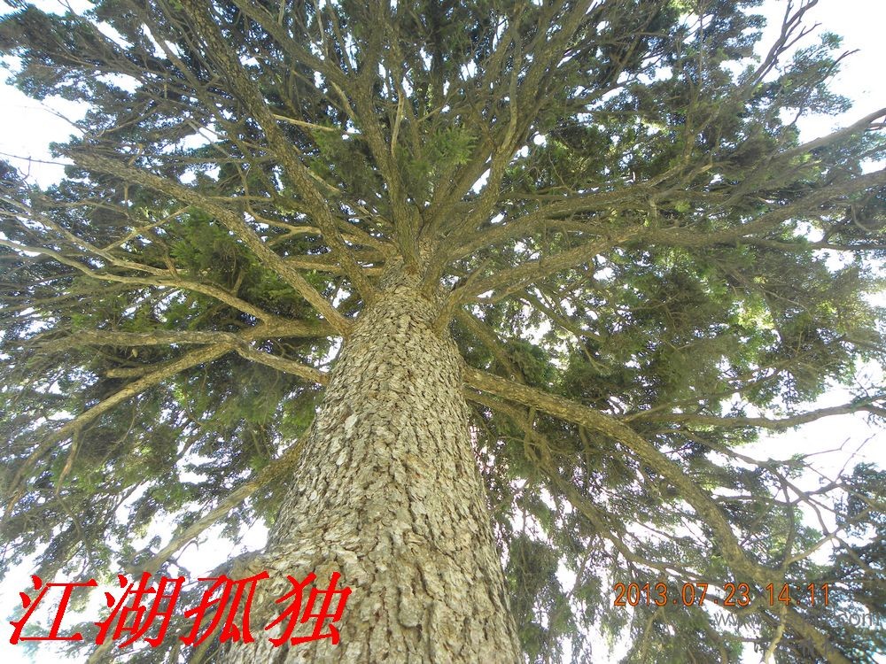 DSCN3497.jpg