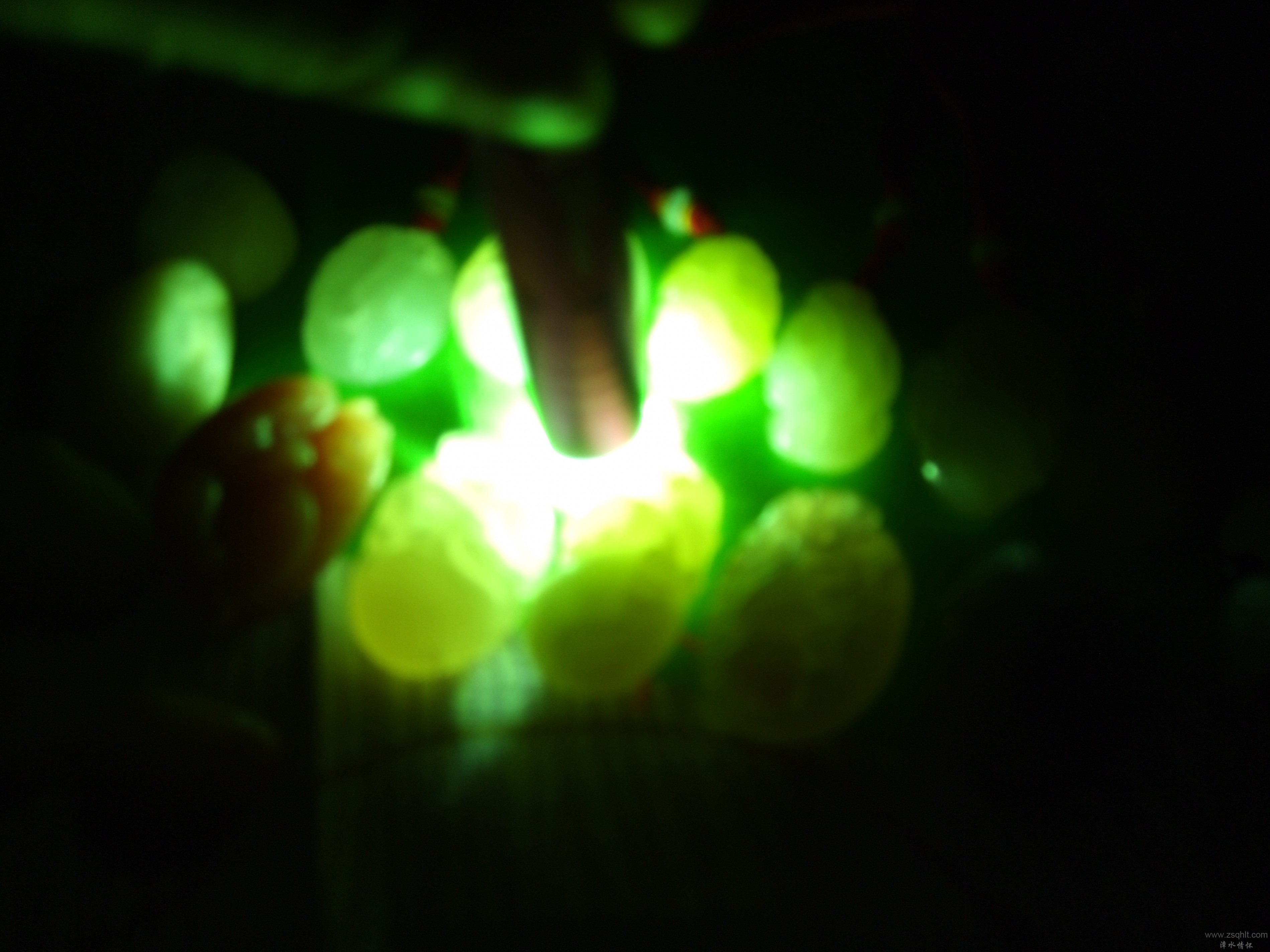 DSCF6662.JPG