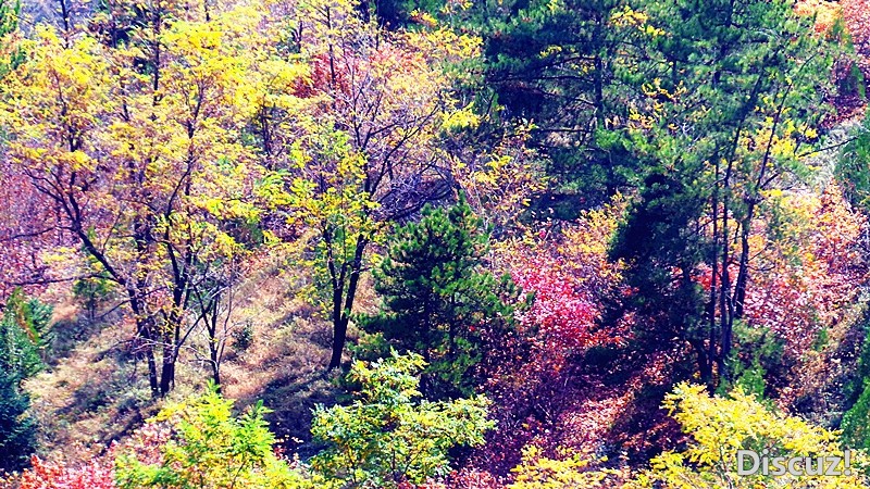 20131019_113730_.jpg