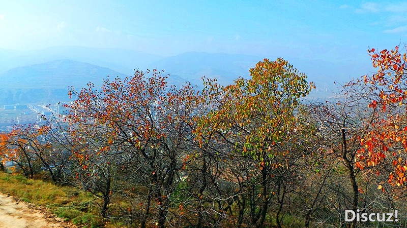 20131019_102941_.jpg