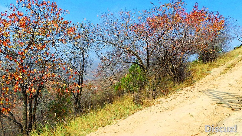 20131019_103010_.jpg