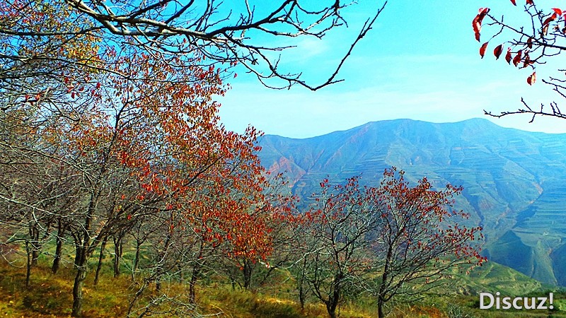 20131019_103722_.jpg
