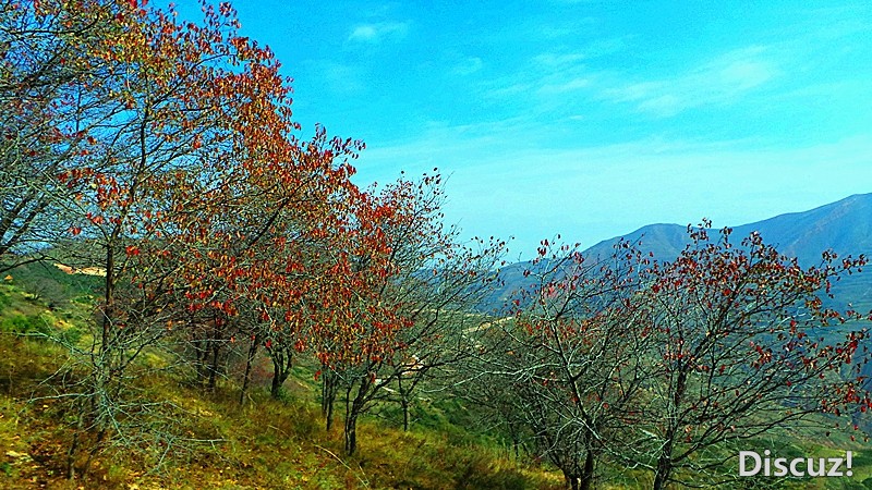 20131019_103739_.jpg