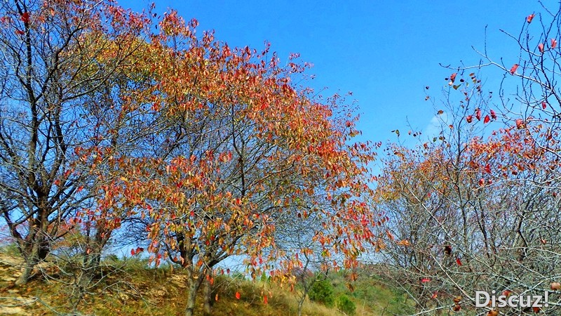 20131019_103810_.jpg