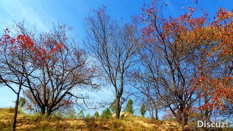 20131019_103820_.jpg