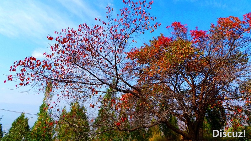 20131019_104302_.jpg