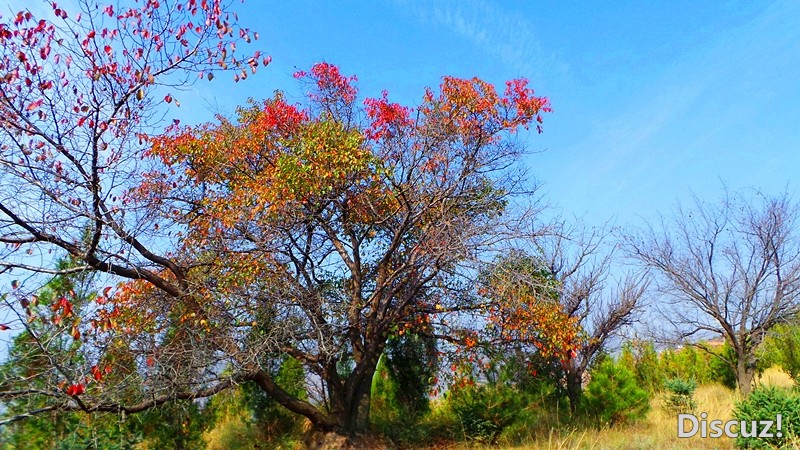 20131019_104322_.jpg