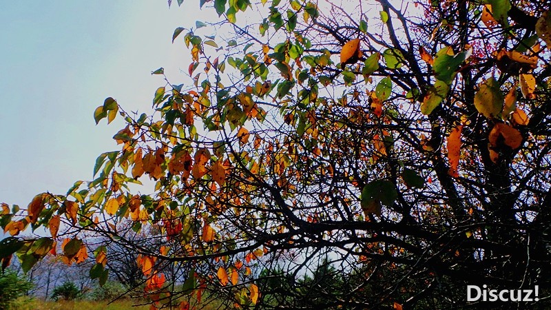 20131019_104444_.jpg