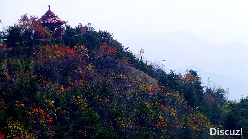 20131019_110707_.jpg