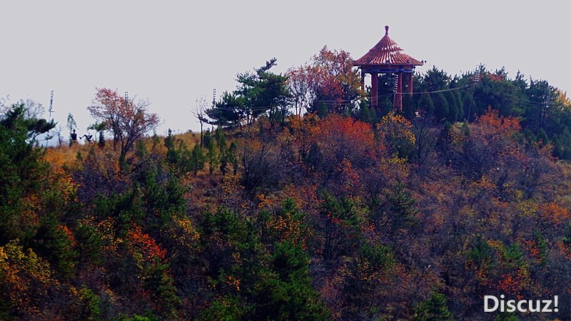 20131019_111134_.jpg