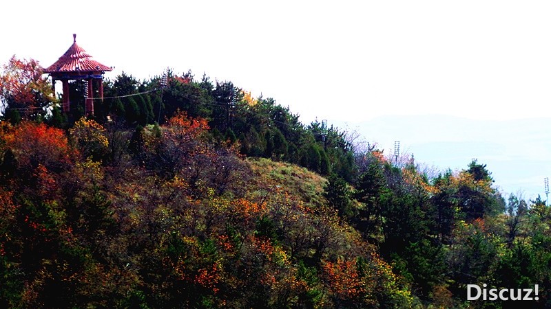 20131019_111210_.jpg