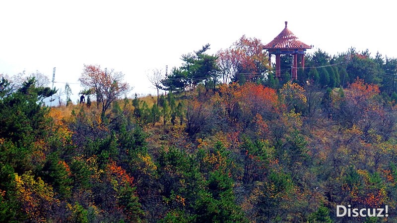 20131019_111217_.jpg