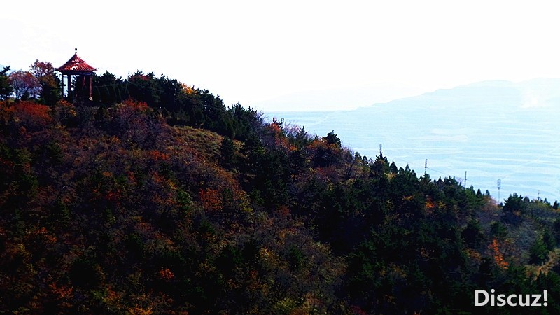 20131019_111820_.jpg