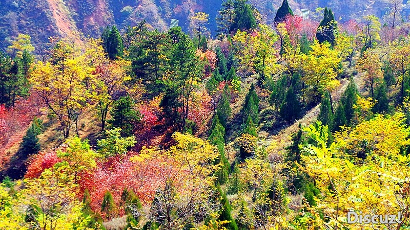 20131019_113646_.jpg