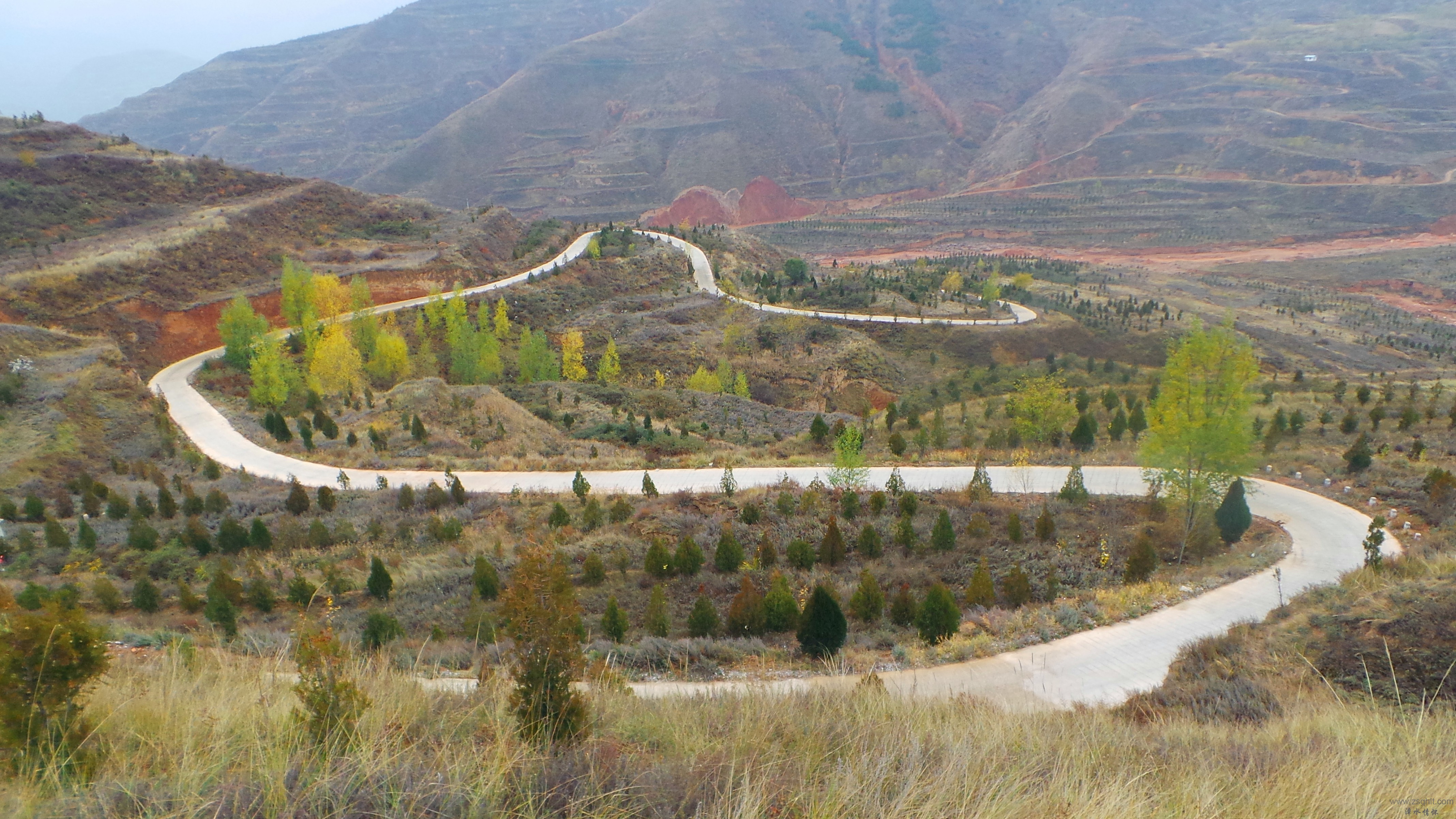 20131102_130209.JPG
