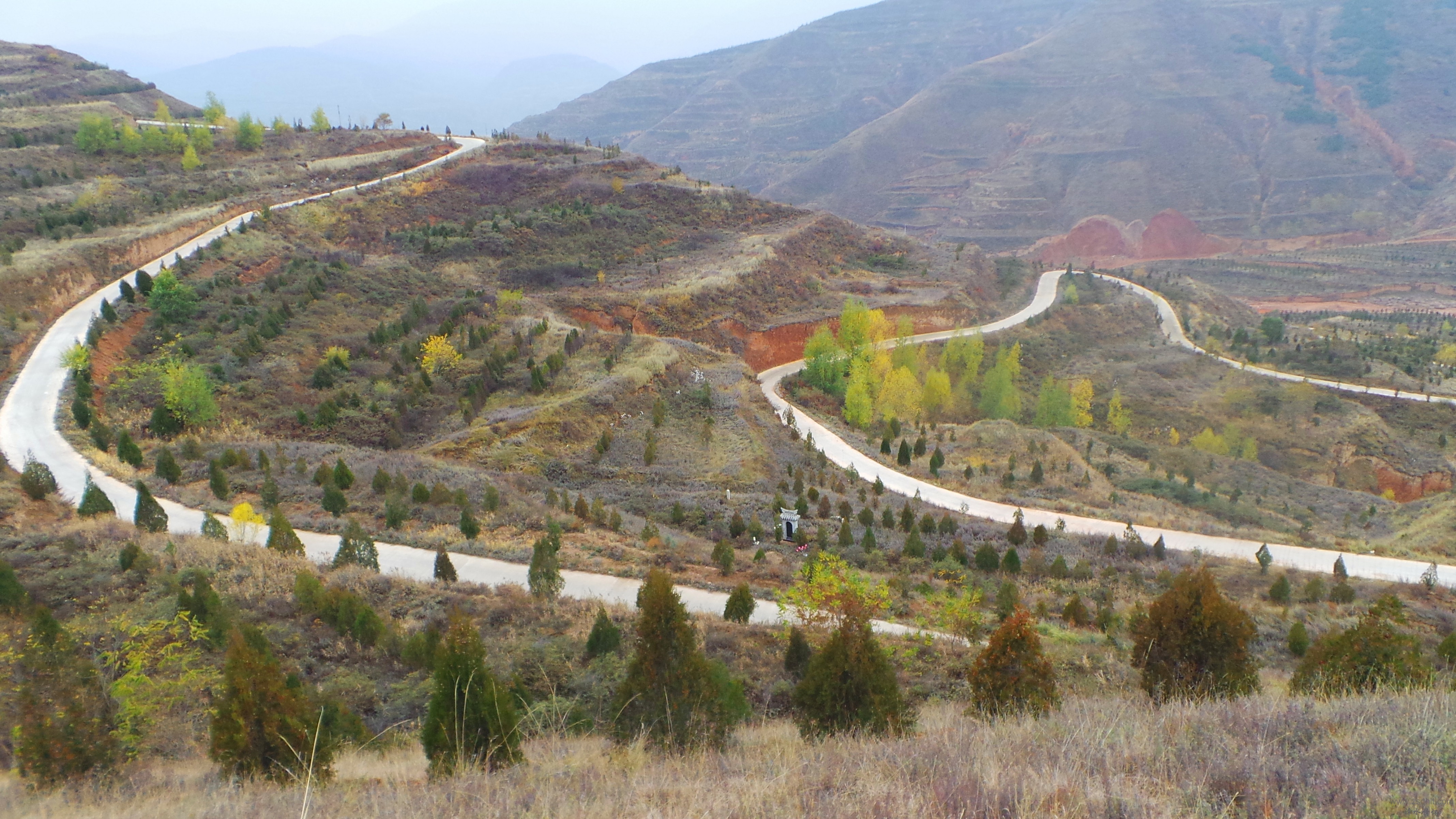 20131102_130327.JPG